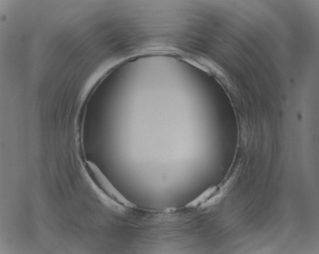 X0000077331430200611101512