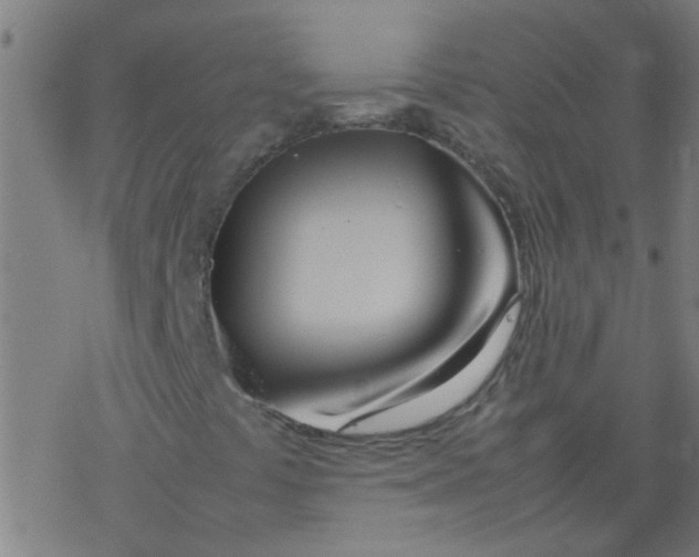 X0000077331441200611101512