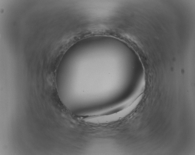 X0000077331445200611101512