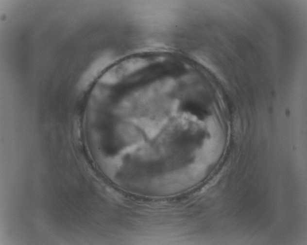 X0000077331455200611101512