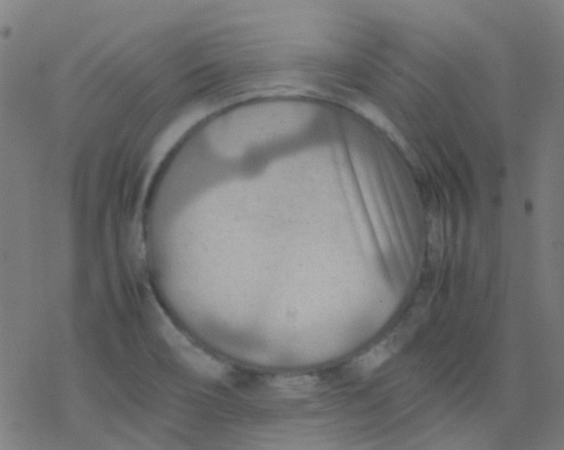 X0000077331466200611101511