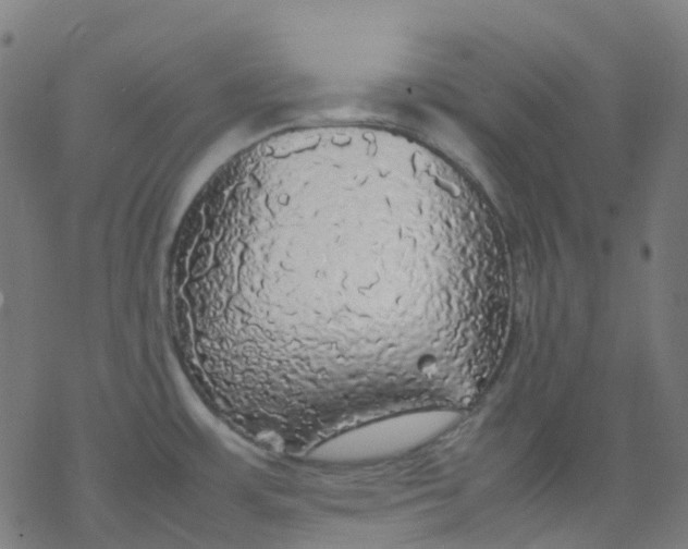 X0000077331483200611101511