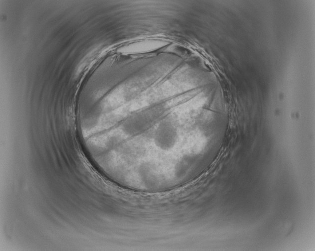 X0000077330002200611171819