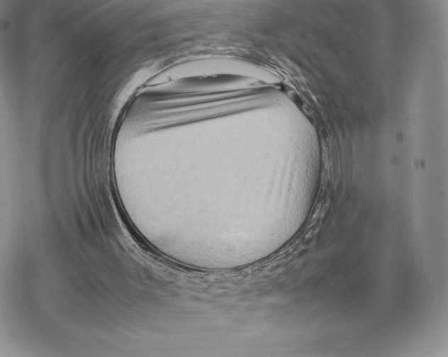 X0000077330003200611171819