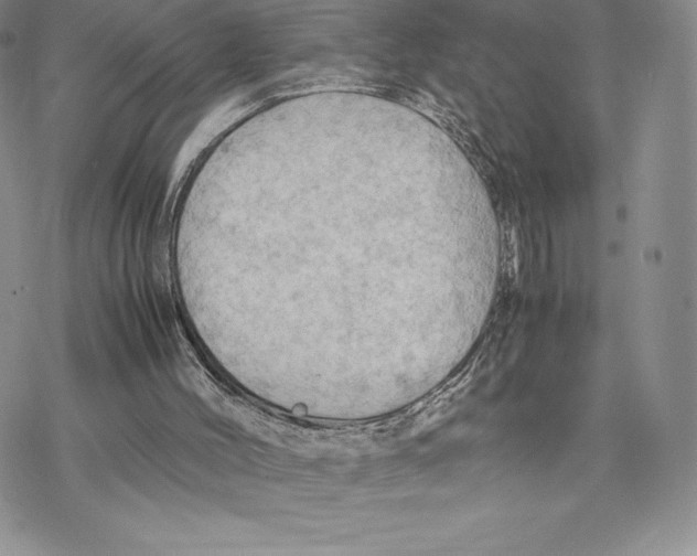 X0000077330004200611171819