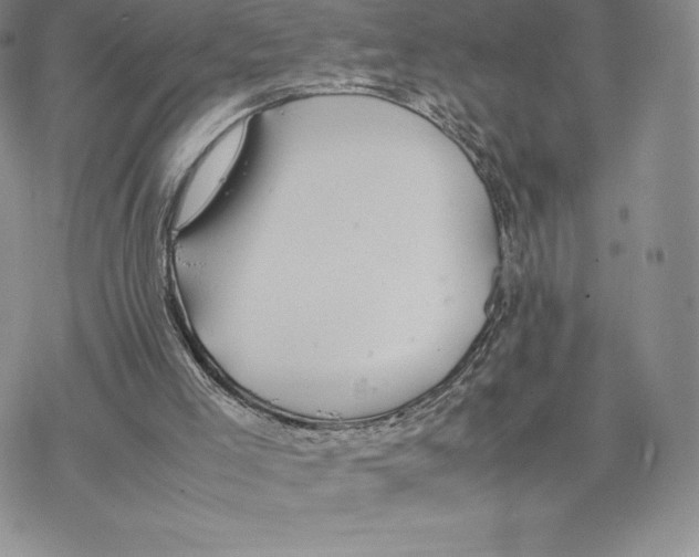 X0000077330005200611171819