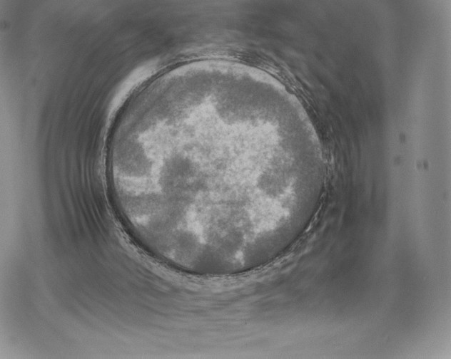 X0000077330006200611171819