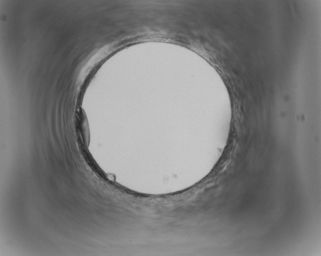 X0000077330007200611171819