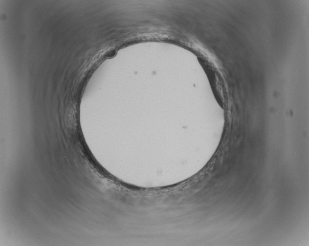 X0000077330009200611171819