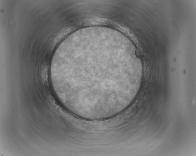 X0000077330010200611171819