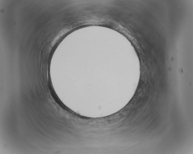 X0000077330011200611171819