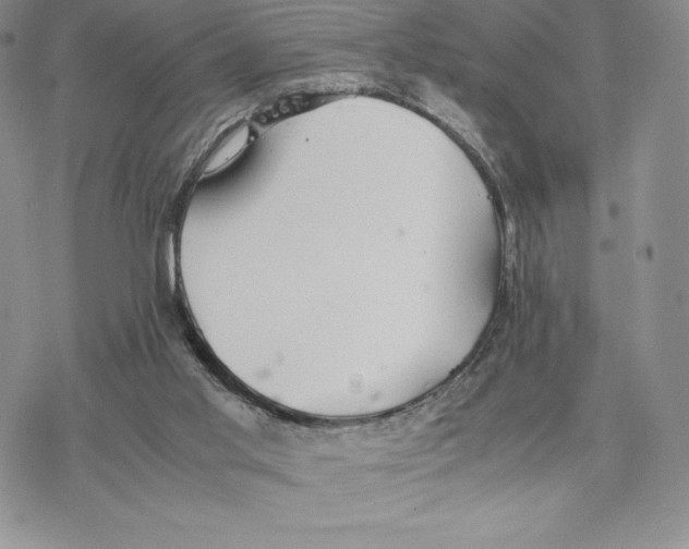 X0000077330013200611171819