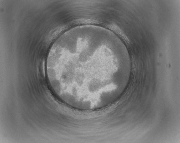 X0000077330014200611171819