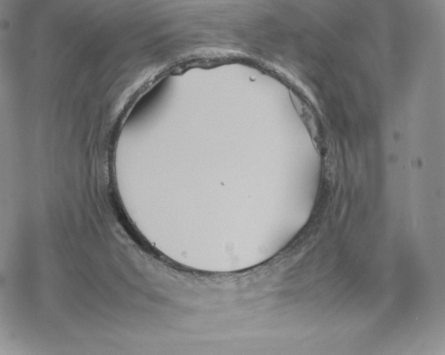 X0000077330015200611171819