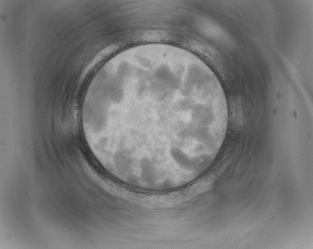 X0000077330016200611171819