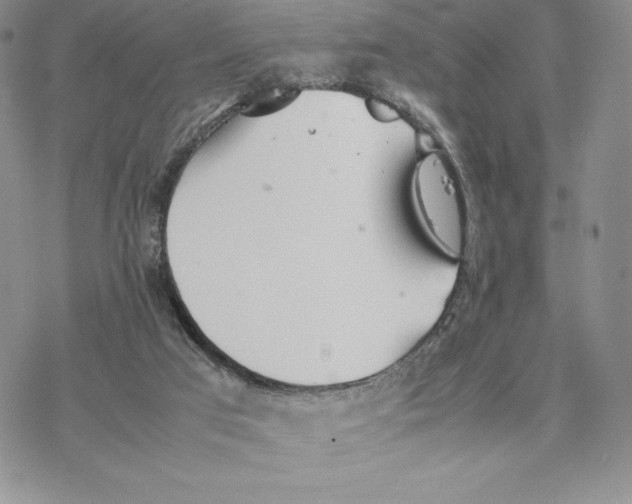 X0000077330017200611171819