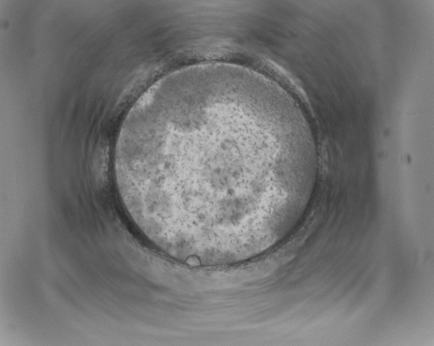 X0000077330018200611171819