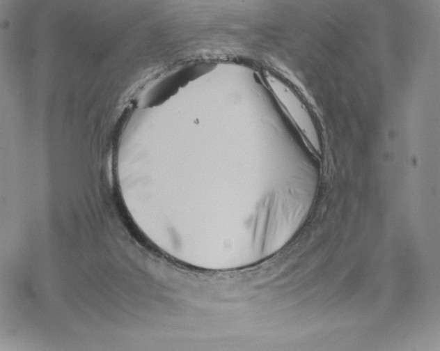 X0000077330019200611171819