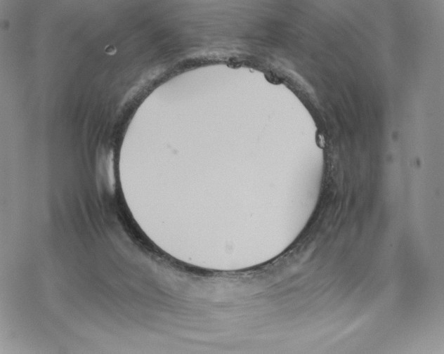 X0000077330020200611171819