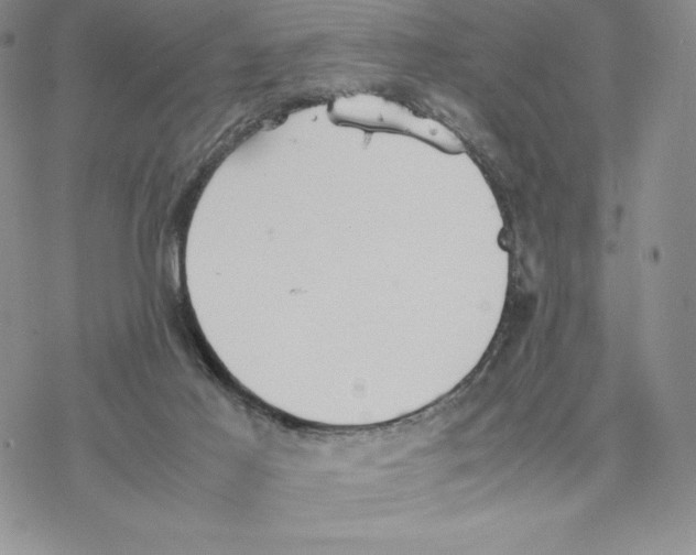 X0000077330021200611171819