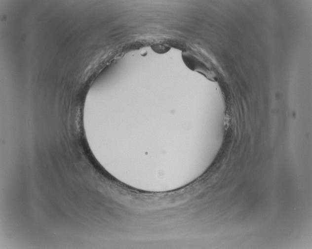 X0000077330023200611171819