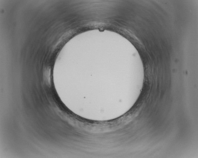 X0000077330024200611171819