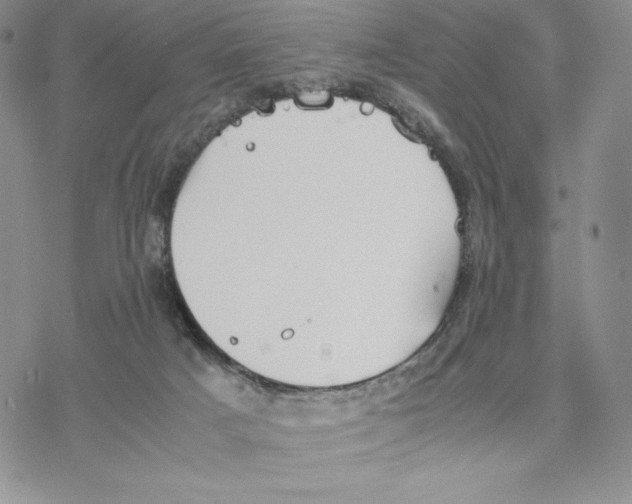 X0000077330025200611171819