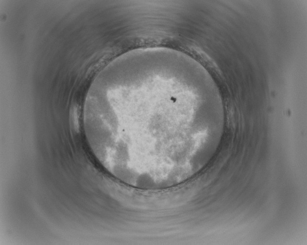 X0000077330026200611171819