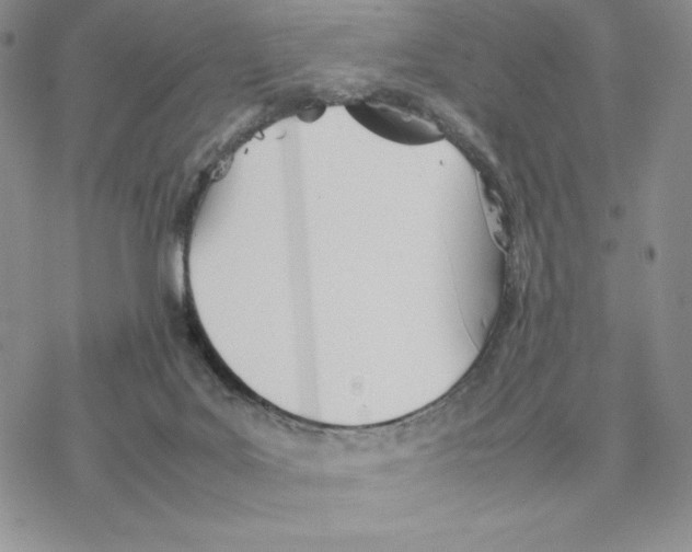 X0000077330027200611171819