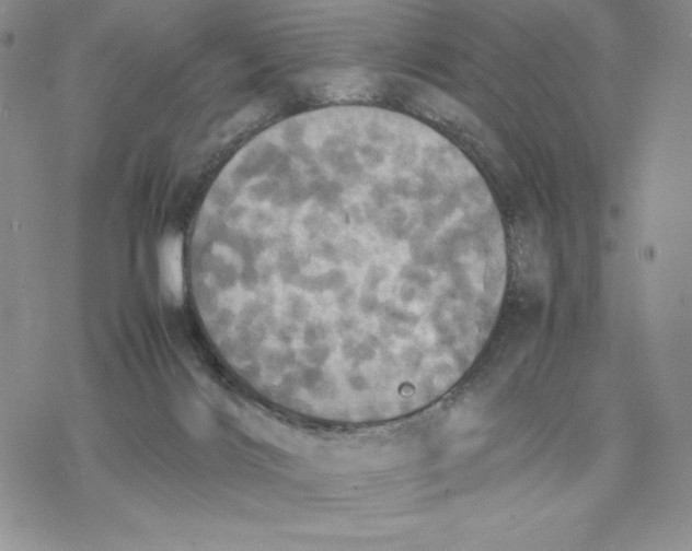 X0000077330028200611171819