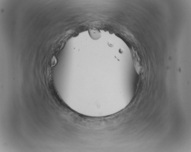 X0000077330029200611171819