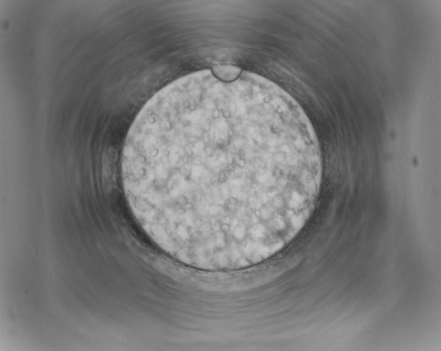 X0000077330030200611171819