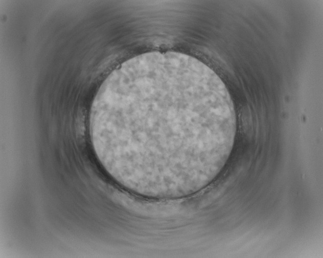 X0000077330032200611171818