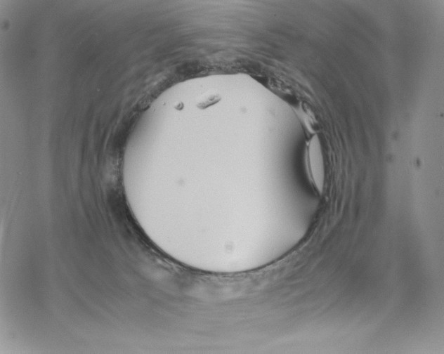 X0000077330033200611171818