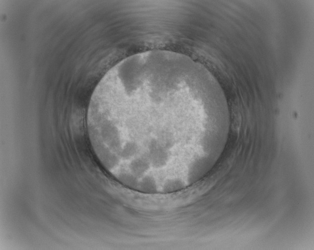 X0000077330034200611171818