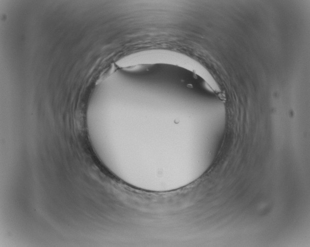 X0000077330035200611171818