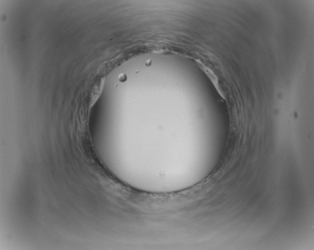 X0000077330037200611171818