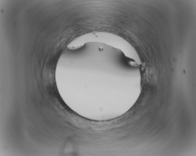 X0000077330039200611171818