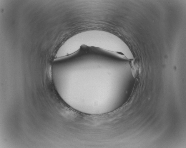 X0000077330041200611171818