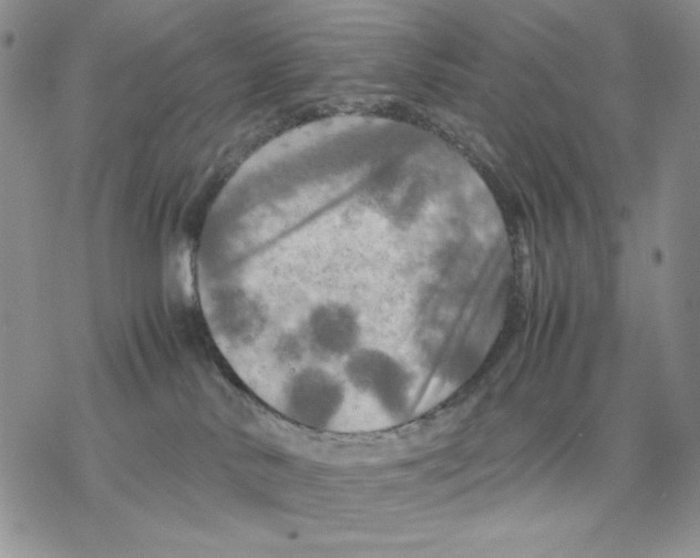 X0000077330042200611171818