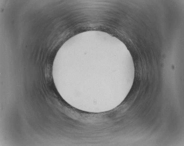 X0000077330044200611171818