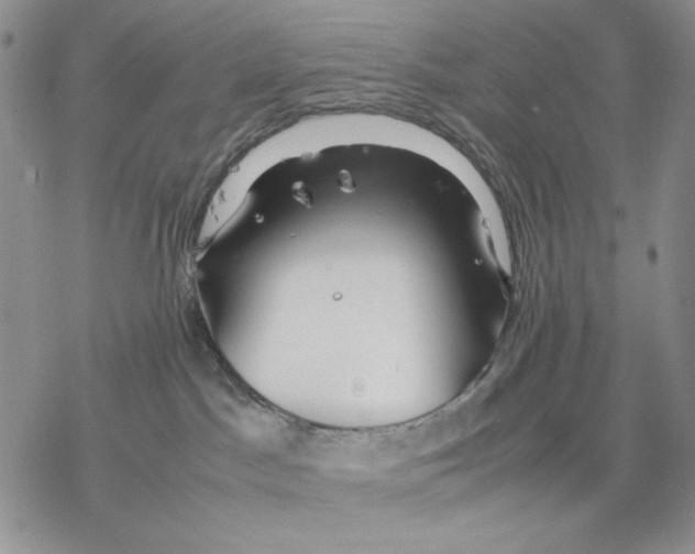 X0000077330045200611171818