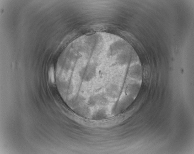 X0000077330046200611171818