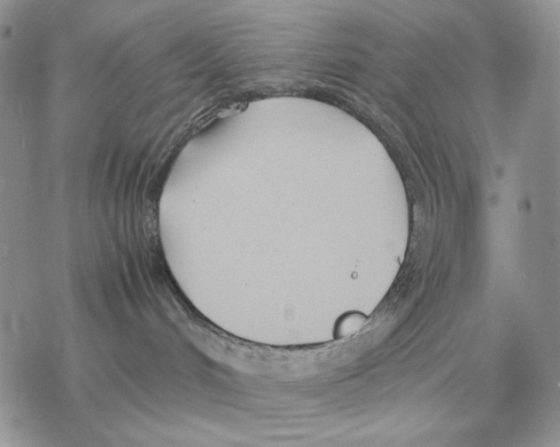 X0000077330048200611171818