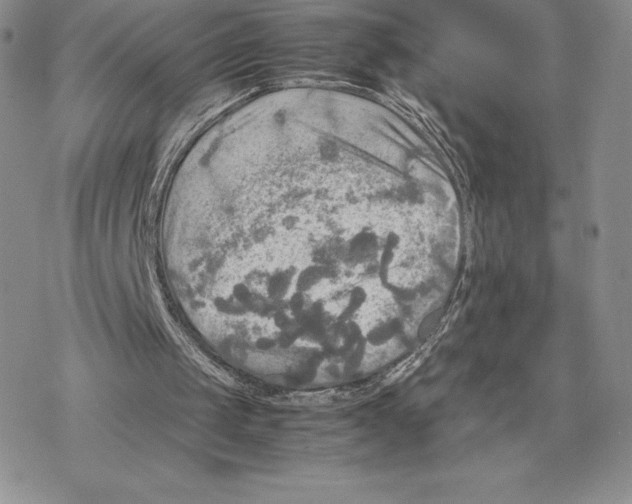 X0000077330049200611171817