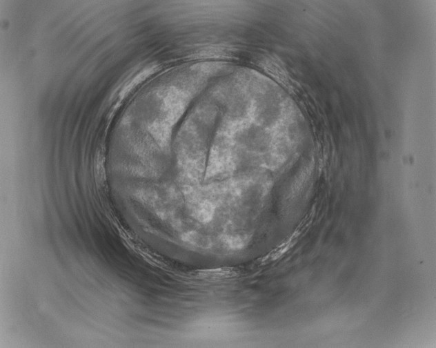 X0000077330050200611171817