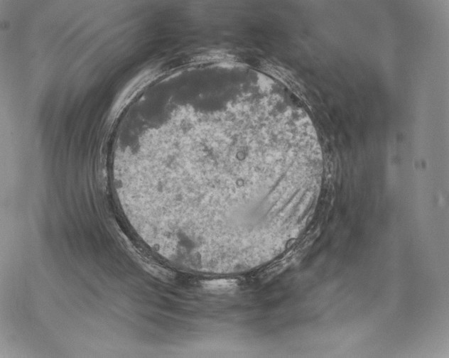 X0000077330053200611171818