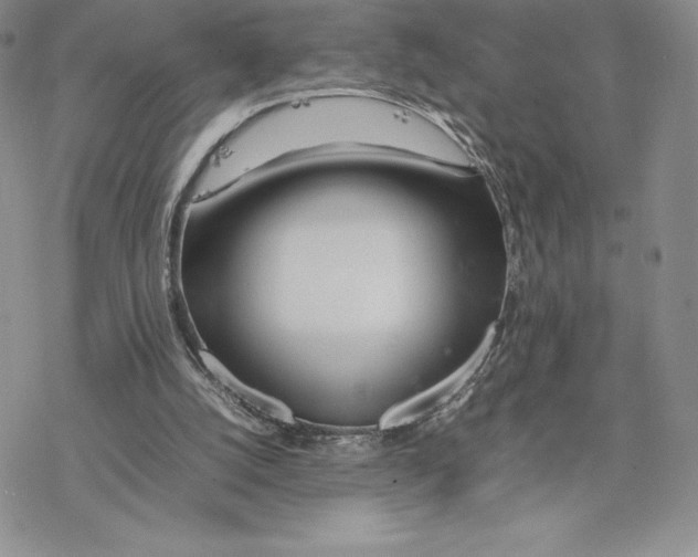 X0000077330056200611171818