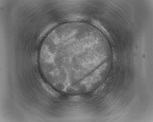 X0000077330058200611171818