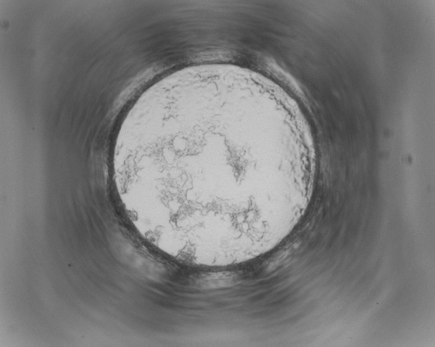 X0000077330059200611171818